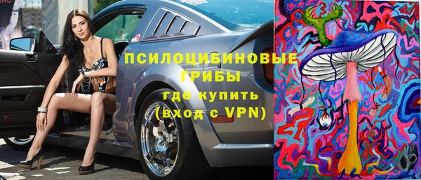 a pvp Горняк
