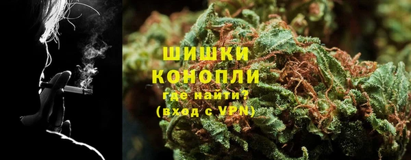 дживик Горнозаводск